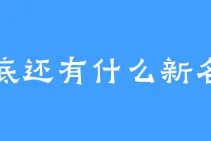 到底还有什么新名字