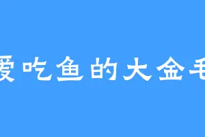 爱吃鱼的大金毛