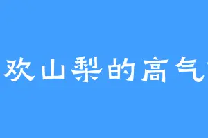 喜欢山梨的高气傲