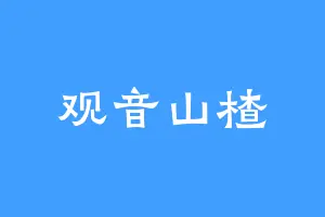 观音山楂