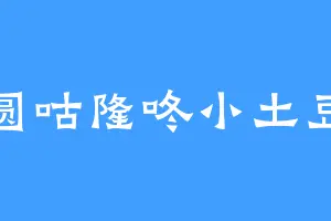 圆咕隆咚小土豆