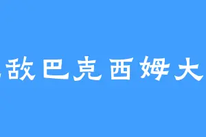 无敌巴克西姆大王