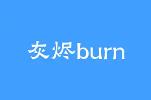 灰烬burn