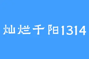 灿烂千阳1314