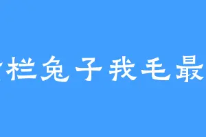 满栏兔子我毛最多