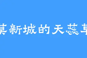 莫新城的天蕊草