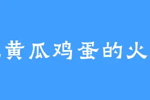 爱吃黄瓜鸡蛋的火玉宸