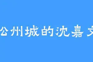 松州城的沈嘉文