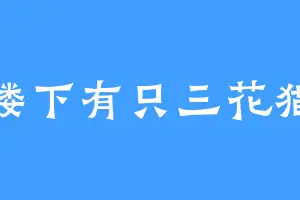 楼下有只三花猫