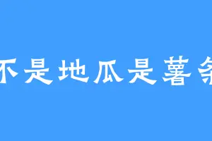 不是地瓜是薯条