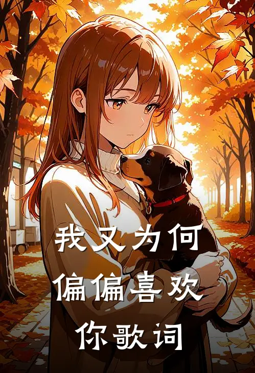 我又为何偏偏喜欢你歌词