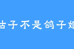 咕子不是鸽子姬
